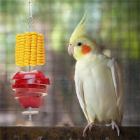 Nuevo Portador De Alimentos Para Pájaros Acero Inoxidable Juego De Juguetes Para Periquito Pequeño Soporte Para Frutas Y Verduras En Jaula De Animales Domésticos - details 12
