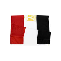 Bandera De Egipto 90x150 CM Para Decoración Material Poliéster Estilo Colgante Personalizable Flaglink - details 1