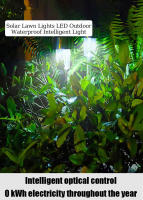 Lámpara Solar LED Para Jardín Decorativa Impermeable Iluminación De Paisaje Para Camino Patio Jardín Decoración De Césped - details 2