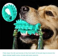 Juguete para Perros Cactus, Cepillo de dientes para perros con cuerda, dispensador de alimentos para mascotas Distrilocu - details 3