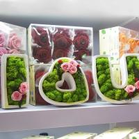Decorativo De Moss Preservado Ligero Arte Artificial De Moss Verde Eterno Para Decoración De Paredes En Casa Y Fiestas - details 2