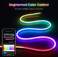 Tira De Luces LED Neón TUYA RGBIC Dreamcolor Impermeable WS2811 Con Efecto De Persecución Y Control WiFi Para Iluminación De Habitaciones - details 4