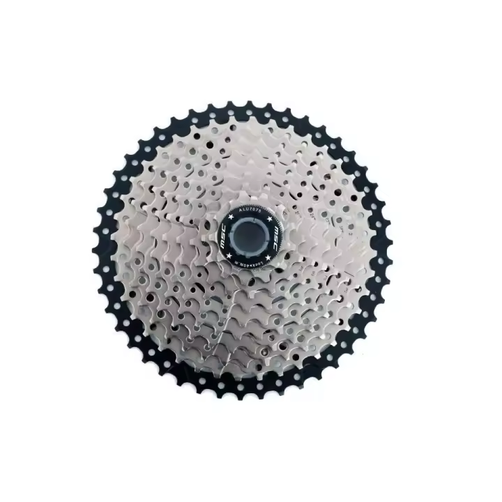 CASSETTE MSC 1 ALU SPIDER 10V 11-46T - 1