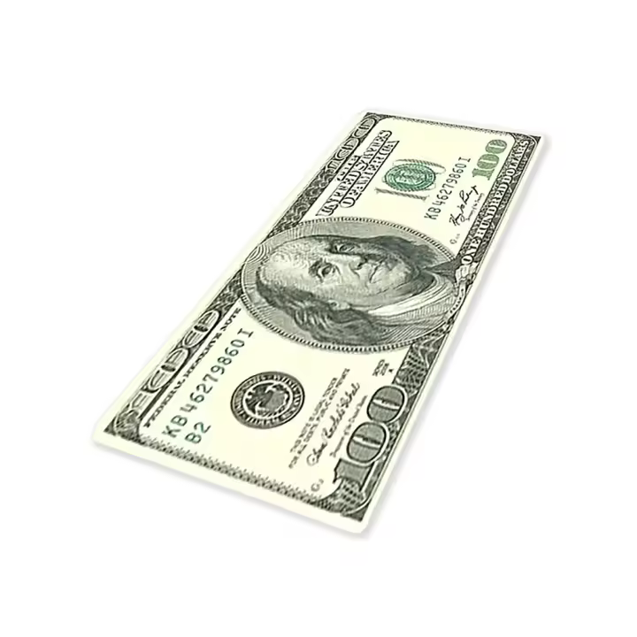 ALFOMBRA FELPUDO CON ESTAMPADO DE BILLETE DE DÓLAR 80x50cm Antideslizante 100% Poliéster - SpazioLuzio - 1