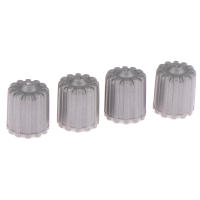 10 Pcs Tapones De Válvula De Neumático Para Coche Nylon Cubiertas De Polvo Con Sellador Accesorios Gris Para Auto Bicicleta - details 4