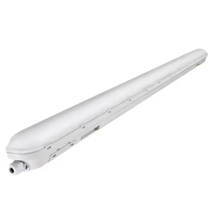 Ledvance ECO DAMP PROOF 1200 25 W 6500 K GY (Whaley 6ks) - 1