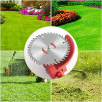 Cabeza De Trimmer De Metal 150mm 40 Dientes Reemplazo De Hoja Para Motosierra Jardín Herramienta De Jardinería Apto Para Cortacésped - details 7