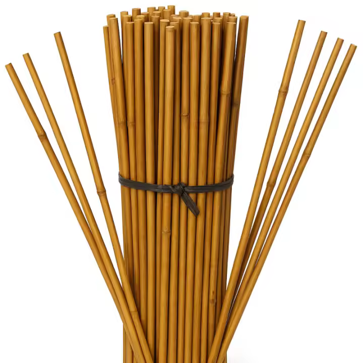 SUINGA Pack 50 Tutor de Bambu 120 cm (8-10 mm) | Varillas de bambu para Plantas y Arboles | Tutores para Tomates y Plantas trepadoras - 1