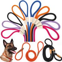 Correa Y Collar De Nylon Duradero Para Perros Medio Y Grande 2 En 1 Ajustable Cómodo Con Anillo De Solución Para Mascotas - details 0