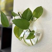 Vaso De Hierro Hidroponía Transparente Para Acuarios Pequeños En Pared Con Plantas Y Peces Juego De Decoración Para El Hogar - details 5