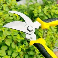 Tijeras De Poda Multifuncionales De Acero Inoxidable En Forma De Pico De Pájaro Herramienta De Poda Laboriosa Para Frutas Y Ramas - details 3