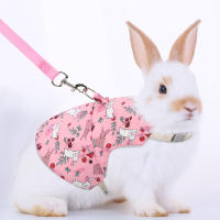 Conjunto De Ropa Para Mascotas Estilo Impresión Transpirable Para Conejos Y Perros Uso Al Aire Libre Correa Y Collar Personalizado - details 1