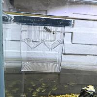 Acuario Multifuncional Para Peces Caja De Cría Y Aislamiento De Peces Material Acrílico Claro Alta Transparencia Tangente Doble Para Guppys Y Hidratación De Crias - details 3