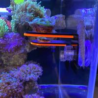 Soporte De Coral Para Acuario En Acrílico Bracket Para Frag Coral Decoración Marina Y Requiem Accesorios De Acuario - details 2