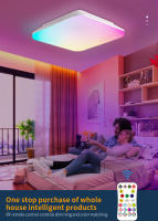 Lámpara de techo con control remoto BIT de 28 cm, lámpara de techo LED inteligente regulable de 24 W, lámpara de techo LED, temperatura de color ajustable y brillo 3000 K-6500 K, adecuada para sala de estar, dormitorio, baño, pasillo. - details 0