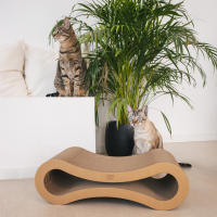 Rascador para Gatos con Forma de Infinito - Althea Living - details 1