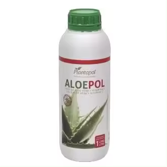 PLANTAPOL ALOEPOL  BOTELLA 1L (ALOE VERA) - 1