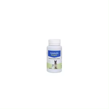 CONDROCIT STANVET 60cp - 1