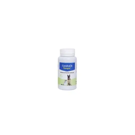 CONDROCIT STANVET 120cp - 1