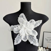 1PC Parche Bordado De Flores Colorido 3D Con Lentejuelas Y Encaje Para Ropa Aplicaciones De Tela Bordadas Con Diamantes Tamaño 28cmx30cm - details 13