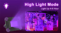 Luz Negra LED UV Para Fiestas Disco Xmas Halloween Luz De Escenario Ultravioleta Eficiente Con Efecto Nuboso Recargable - details 2