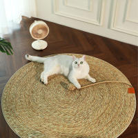 Juego De Ratones Para Gato Tablero De Rasguño Para Sofá Protección De Muebles Artículos Para Gatos Poste De Rasguño De Madera Unidimensional - details 0