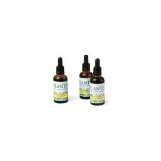 Ext.Manzanilla 50Ml Maese Herbario - 1