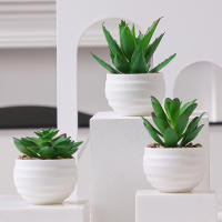 XIYA FLOWER Suculentas De Aloe Vera Artificiales En Estilo Moderno Con Maceta De Plástico Blanco Para Decoración Del Hogar Material PE - details 0