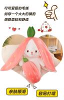 Muñeco De Peluche Transformable En Fresa Y Conejo De Zanahoria 25CM Juguete Suave Regalo Ideal Para Niños Y Adultos - details 8