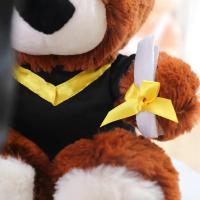 Doctor Hat Capybara De Peluche Muñeco De Peluche Suave Y Cálido Regalo De Graduación De Dibujos Animados Para Adultos Y Niños - details 22