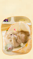 Túnel Para Gatos Juguete Interactivo Pequeño Animal Juguetes Para Juego Puzzle Ejercicio Ocultarse Entrenamiento Y Correr - details 2