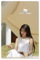 Ventilador De Techo Portátil Recargable Con Luz LED Y Control Remoto Para Exteriores Y Camping Ventilador Colgante Con Luz Nocturna Para El Hogar - details 5