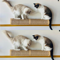 1Pc Poste De Rasguñar Para Gatos Pared Muebles Para Mascotas De Madera Con Cordón De Sisal Scratcher Para Gatos Grandes Columnas Gruesas Para Gatitos - details 3
