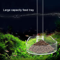 Dispensador De Alimentos Para Acuario Acrílico Multifuncional De Gran Capacidad Tubo Transparente Para Peces Y Camarones - details 1