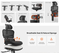 Silla Ergonómica NEWTRAL Standard NT001 con Soporte Lumbar Adaptativo, Reposabrazos y Respaldo Ajustables en 3D, Base de Nylon, Asiento con Cojín de Espuma de Alta Densidad - details 3