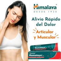 SANDALFON - Gel Rumalaya 50g, Restaura Movilidad, Alivio Rápido, Antiinflamatorio, Lesiones Deportivas - details 1