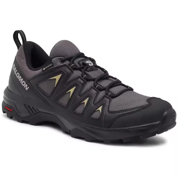 Zapatillas De Montaña Salomon X Braze Gore-Tex Gris Hombre - 1