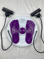 Equipo De Fitness Portátil Para Masaje De Cintura Y Rodillas Disco De Torcimiento Magnético Máquina De Ejercicio Abdominal Y Cintura - details 4