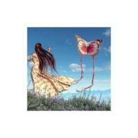 Butterfly Kite para juegos y actividades al aire libre - details 0