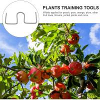 Máquina extractora de ramas para árboles frutales, herramientas agrícolas, nueva herramienta para doblar ramas con ángulo abierto, fruta BH plateada - details 0