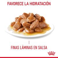 Royal Canin Light Weight Care en salsa 12X85g - details 2
