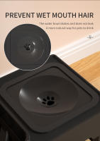 Comedero Doble para Mascotas - Ajustable en Altura, Antideslizante, Plegable - details 7
