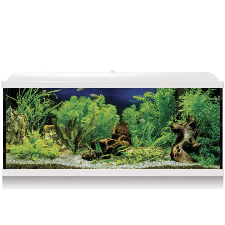 Acuario LED PRO 130 BLANCO ICA  Filtro Interior y Kit Completo Los acuarios AQUA LED contienen un kit ultra completo incluyendo todo lo necesario para empezar un acuario desde cero.  Filtro Interior (OP400).  Pantalla integrada LED.  Termómetro.  Termoc - 1