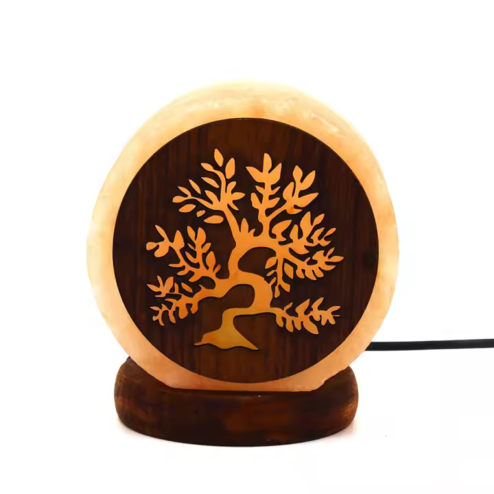 PLUSHOME Lámpara de Sal del Himalaya Natural Con Luz De LED Multicolor, 8.5 X 10 Cm Con Base Madera ,Enchufe USB - 1