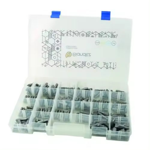 Caja 218 puntas BIANDITZ surtidas para profesionales 238989 - 1