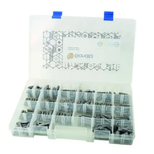 Caja 218 puntas BIANDITZ surtidas para profesionales 238989 - 1