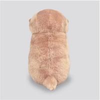 Llavero De Peluche De Erizos De Agua Sosteniendo Peces Juguetes Pequeños Para Bolso De Escuela Monedero Regalos Unisex 11cm - details 4