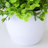 Bonsái Artificial Energético Decorativo No Desvaneciendo Planta Verde Para Mesa Centro De Oficina Decoración Imitación - details 10