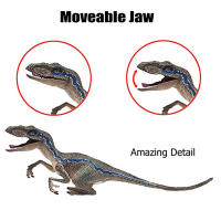 Juguete De Dinosaurio Velociraptor Para Niños Con Mandíbula Móvil Juego Y Colección De Dilophosaurus Realista Para Edades 3-12+ - details 5