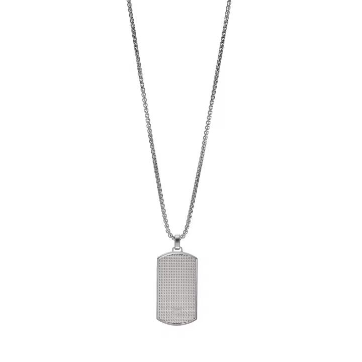 Emporio Armani STAINLESS STEEL，SILVER，DOG TAG EGS2986040 - 1